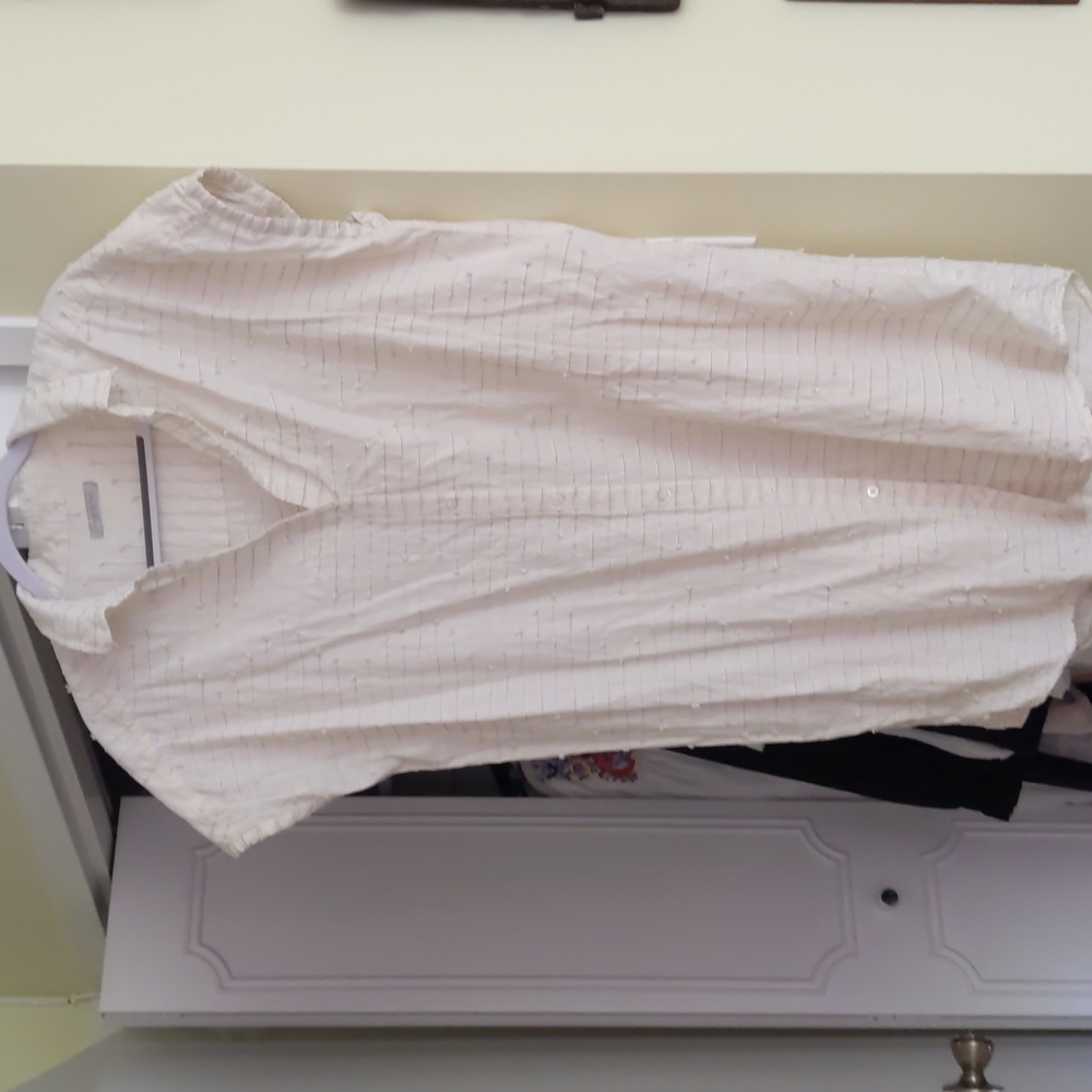 Bee Shirt Dress